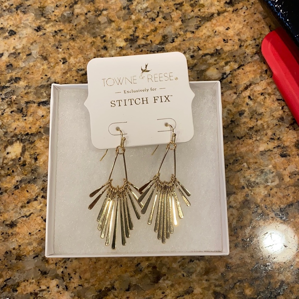 NWT Dangling Earrings